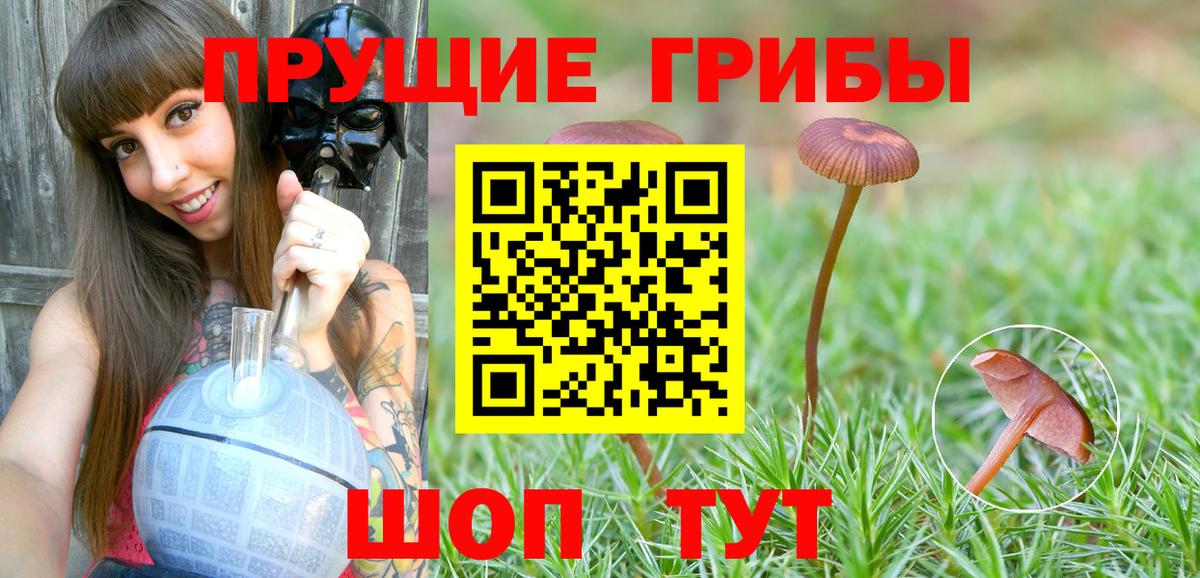 Псилоцибиновые грибы Magic Shrooms Краснознаменск