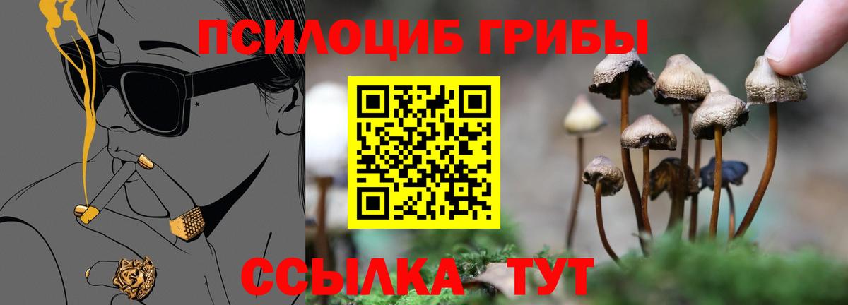 Галлюциногенные грибы ЛСД  Псилоцибиновые грибы мицелий  Вход с VPN  купить наркотики сайты  Краснознаменск 