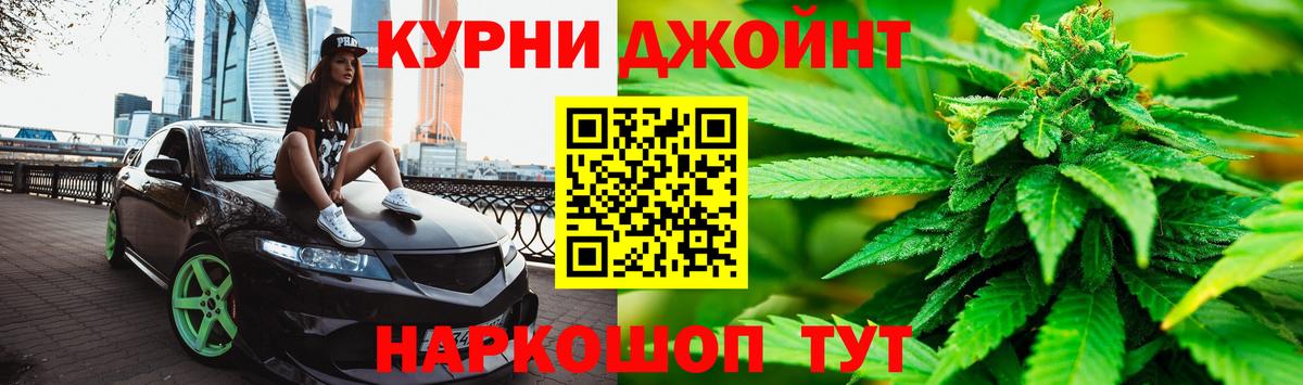 Канабис конопля Краснознаменск